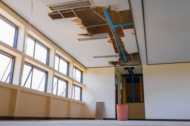 Best Water damage cleanup near me  in White Sulphur Springs, MT
