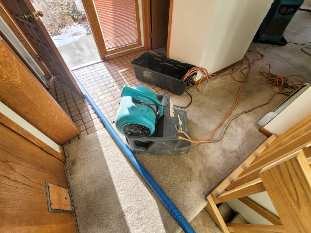 Best Water damage cleanup near me  in White Sulphur Springs, MT