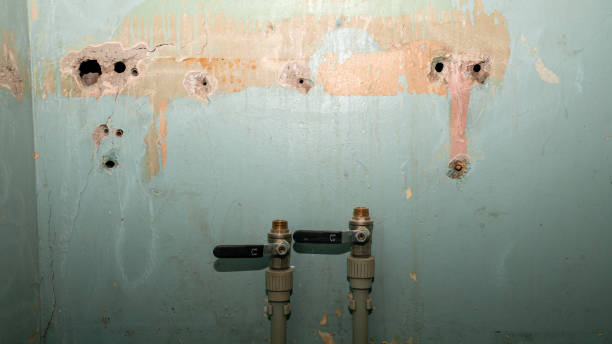 Trusted MT Water damage restoration Experts