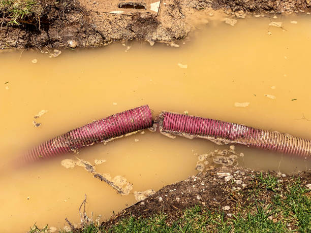 Best 24-hour water damage restoration  in White Sulphur Springs, MT
